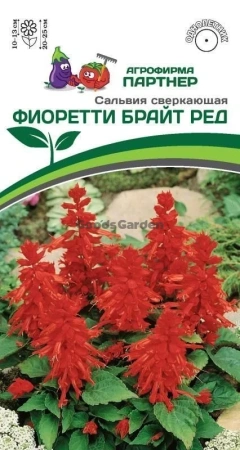 Сальвия сверкающая ФИОРЕТТИ БРАЙТ РЕД 10шт в амп