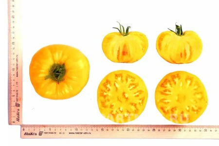 Томат ПРЕЛЕСТЬ РОУЗЫ 2-ной пак. 10шт