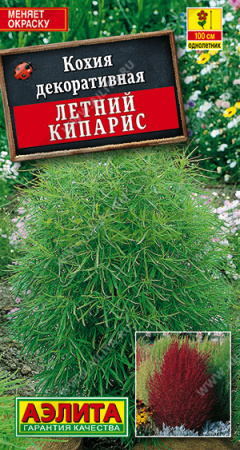 Кохия Летний кипарис АЭ 0,3г