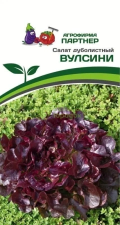 Салат дуболистный ВУЛСИНИ 15шт в амп