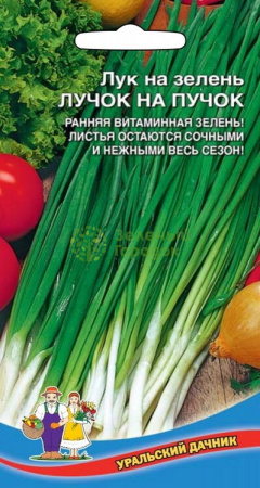 Лук на зелень Лучок на пучок УД 0,25г