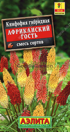 Книфофия Африканский гость смесь АЭ 30шт