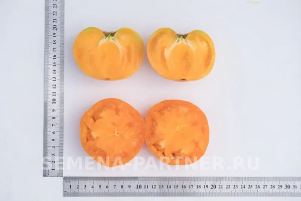 Томат АМАНА ОРАНЖ 0,1г Томат АМАНА ОРАНЖ 0,1г