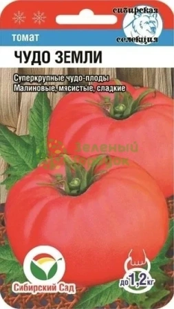 Томат Чудо земли (20 шт)