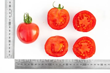 Томат РОЗОВЫЙ ШАР 2-ной пак. 10шт Томат РОЗОВЫЙ ШАР 2-ной пак. 10шт