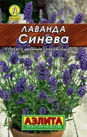 Лаванда Синева (лидер) АЭ 0,1г