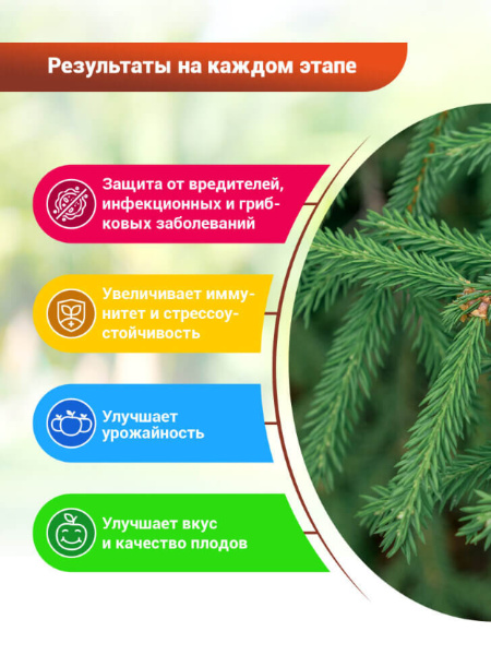 БИО-комплекс Экстракт Хвои 0,25л БИО-комплекс Экстракт Хвои 0,25л