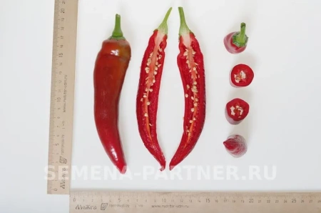 Перец острый ЭДВИН F1 5шт