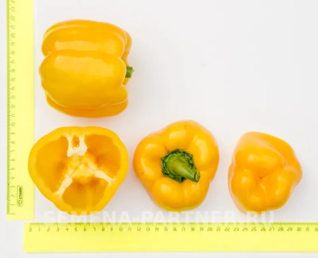 Перец сладкий ТАВИНЬЯНО F1 2-ной пакет 5шт