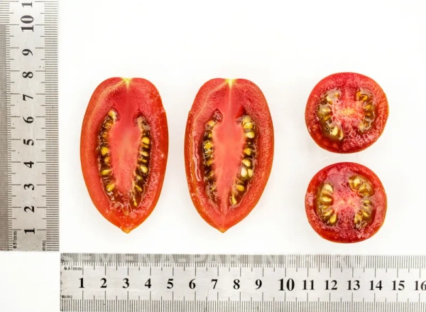 Томат ЧЕРРИ ДЮКРЕ F1 2-ной пак. 10шт