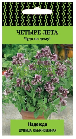 Душица обыкновенная (орегано) Надежда сер. Четыре лета (ЦВ) 20шт