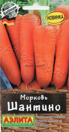 Морковь Шантино АЭ 2г