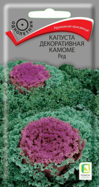 Капуста декоративная Камоме Ред (ЦВ) 10шт Капуста декоративная Камоме Ред (ЦВ) 10шт