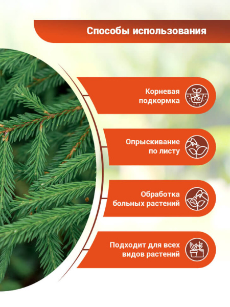 БИО-комплекс Экстракт Хвои 1л БИО-комплекс Экстракт Хвои 1л