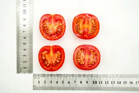 Томат ЧЕРРИ ЛИТЛ ПИНКИ F1 2-ной пак. 10шт Томат ЧЕРРИ ЛИТЛ ПИНКИ F1 2-ной пак. 10шт