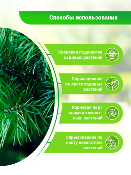 БИО-комплекс Экстракт Кедра 0,25л БИО-комплекс Экстракт Кедра 0,25л