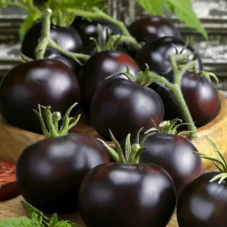 Томат Нуар де Крим Италия Pro 5шт