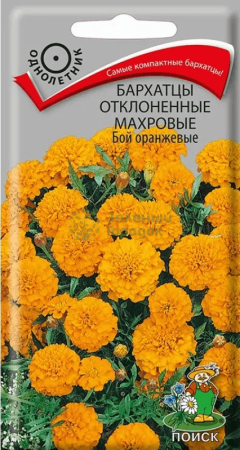 Бархатцы откл. махровые Бой оранжевые (ЦВ) 0,4г