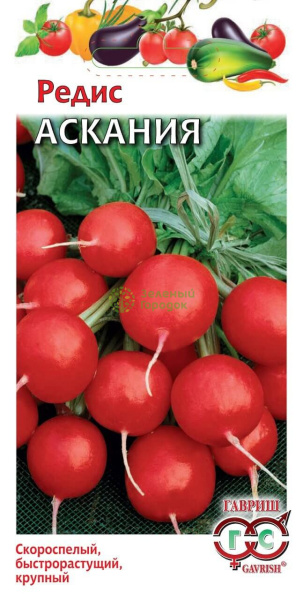 Редис Аскания Германия ГВ 1г Редис Аскания Германия ГВ 1г
