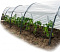 Парники и комплектующие к ним