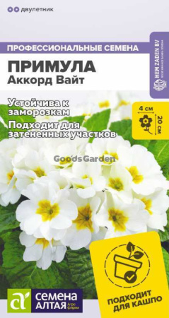 Примула Аккорд Вайт SA 5шт