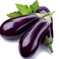 Баклажан Баклажан
