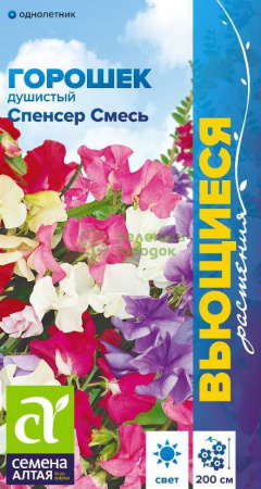 Душистый горошек Спенсер смесь SA 0,5г