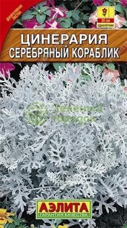 Цинерария Серебряный кораблик АЭ 0,1г