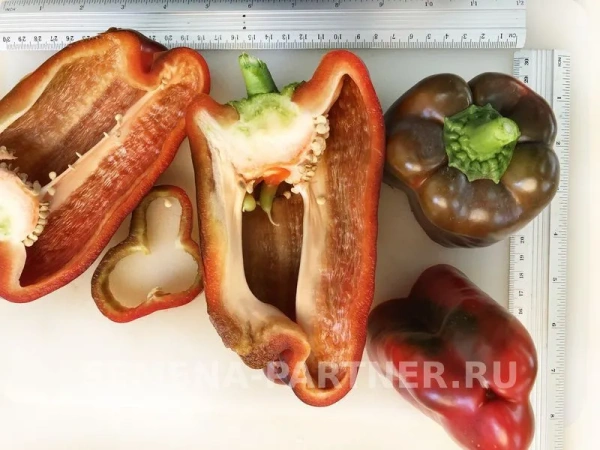 Перец сладкий ЛАМУЙО F1 2-ной пак. 5шт