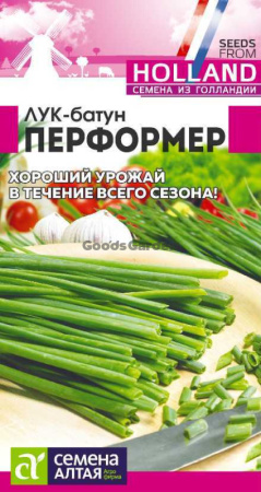 Лук батун Перформер Bejo (Голландские Семена) SA 0,2г