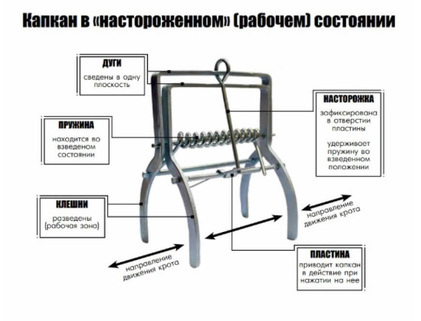 Капкан для кротов (кротоловка) Капкан для кротов (кротоловка)