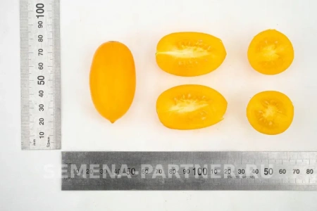 Томат ГЕЙША F1 2-ной пак. 10шт Томат ГЕЙША F1 2-ной пак. 10шт