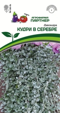Дихондра серебристая КУДРИ В СЕРЕБРЕ 4шт в амп