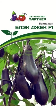 Баклажан БЛЭК ДЖЕК F1 2-ной пак. 10шт