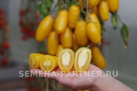 Томат БАНАНОВЫЕ НОГИ 10шт