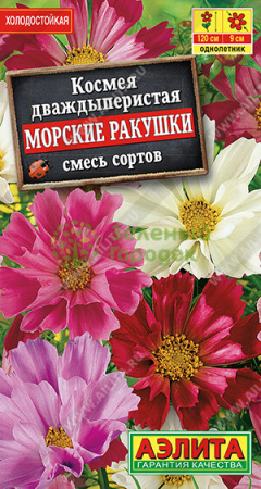 Космея Морские ракушки АЭ 0,3г