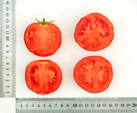 Томат ВЕРОЧКА F1 2-ной пак. 0,1г