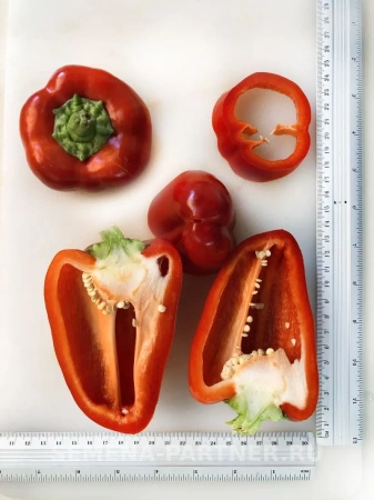 Перец сладкий РЕГОР F1 2-ной пакет 5шт