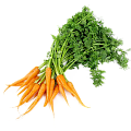 Морковь Морковь