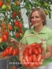 Томат ЖАРА F1 2-ной пак. 10шт