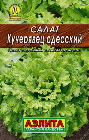 Салат Кучерявиц Одесский (лидер) АЭ 0,5г