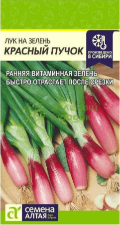 Лук на зелень Красный Пучок SA 0,3г