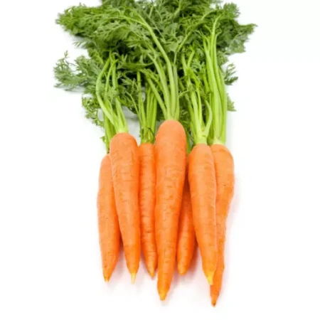 Морковь Вита Лонга Нидерланды Pro 1г