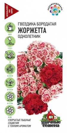Гвоздика бородатая (турецкая) Жоржетта смесь ГВ 0,2