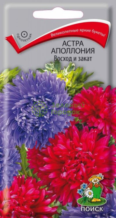 Астра Аполлония Восход и закат (ЦВ) 0,3г