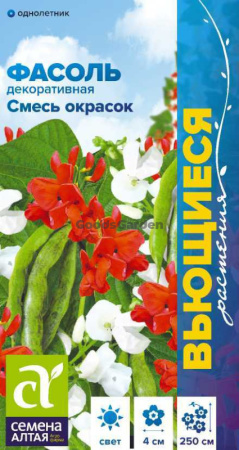 Фасоль декоративная Смесь окрасок вьющаяся SA 5г
