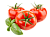 Семена овощей