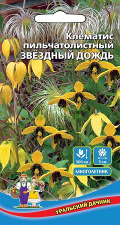 Клематис пильчатолистный Звездный Дождь УД 12шт