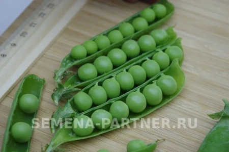 Горох ПРЕМИУМ овощной 25шт