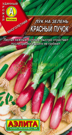 Лук на зелень Красный пучок АЭ 0,3г